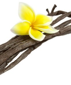 Vanille de Madagascar